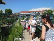 Celodenní výlet Mnichovo Hradiště